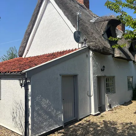 Clematis, Cosy Countryside * Bulmer