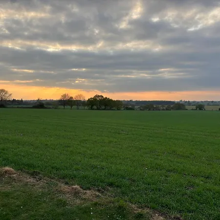 Clematis, Cosy Countryside *